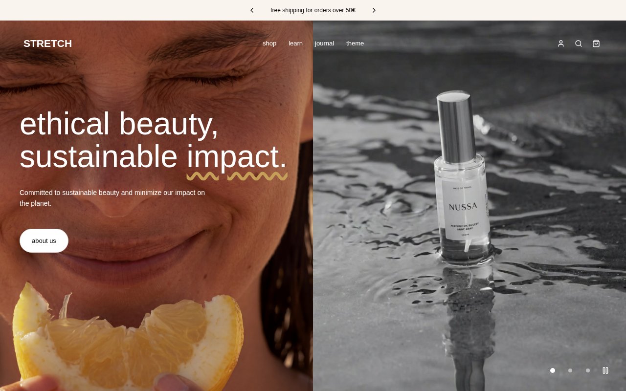 STRETCH website preview
